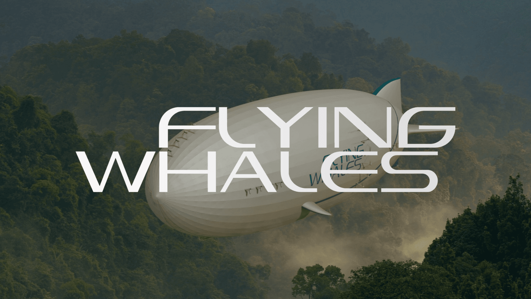 FLYING WHALES 